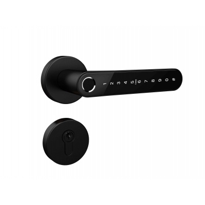 Smart Lock - Wooden Doors With installation